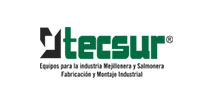 Logo Tecsur